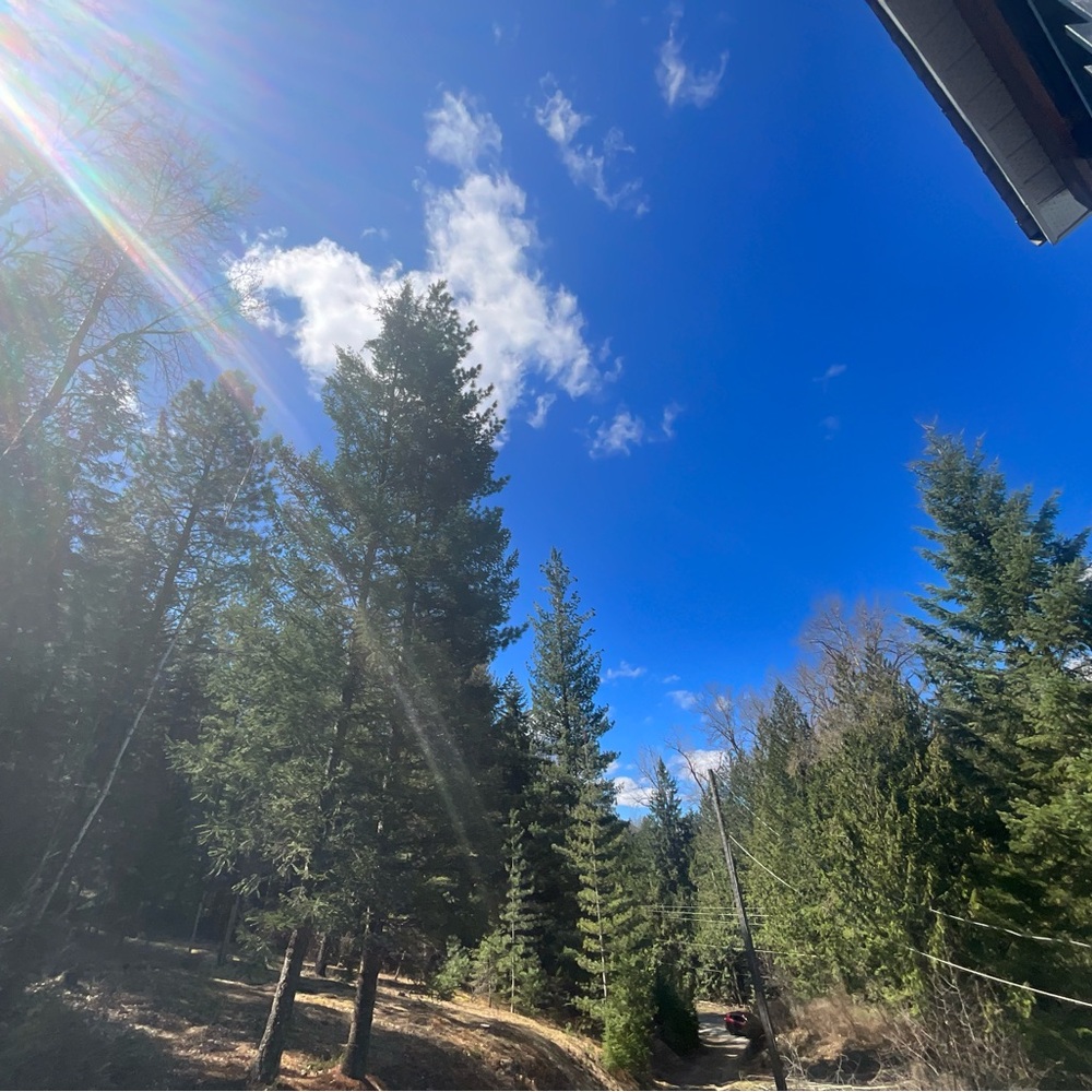 Meet your Posher, Jag